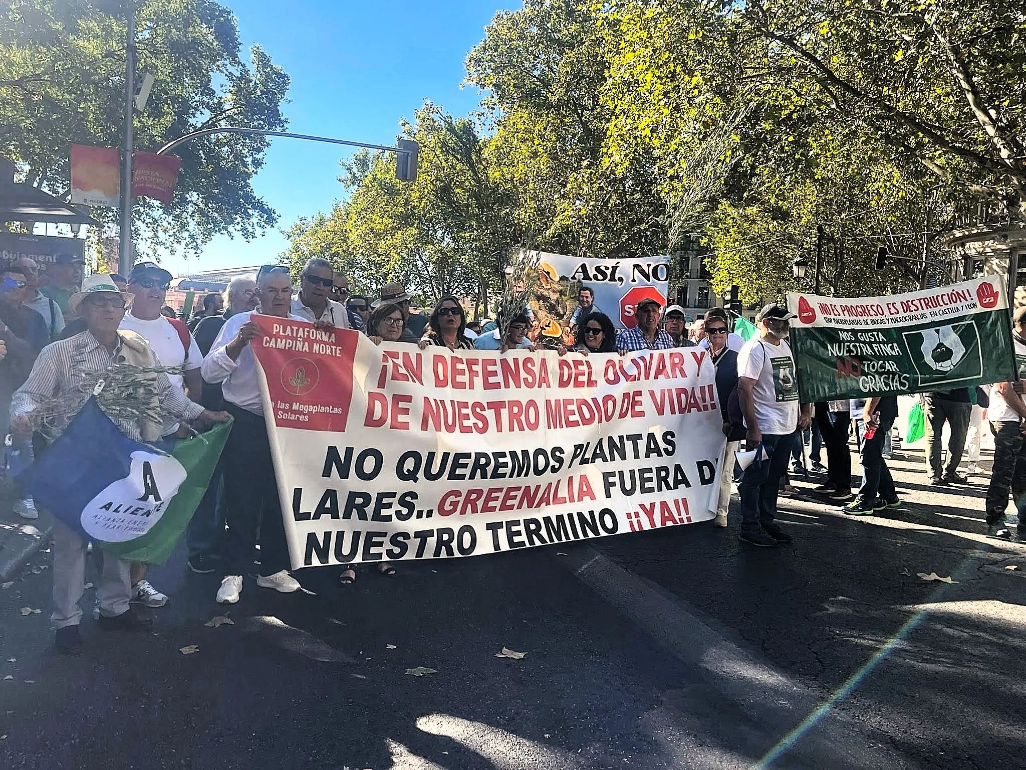 Vecinos de Lopera se manifestaron en Madrid en contra de los macroproyectos con placas solares