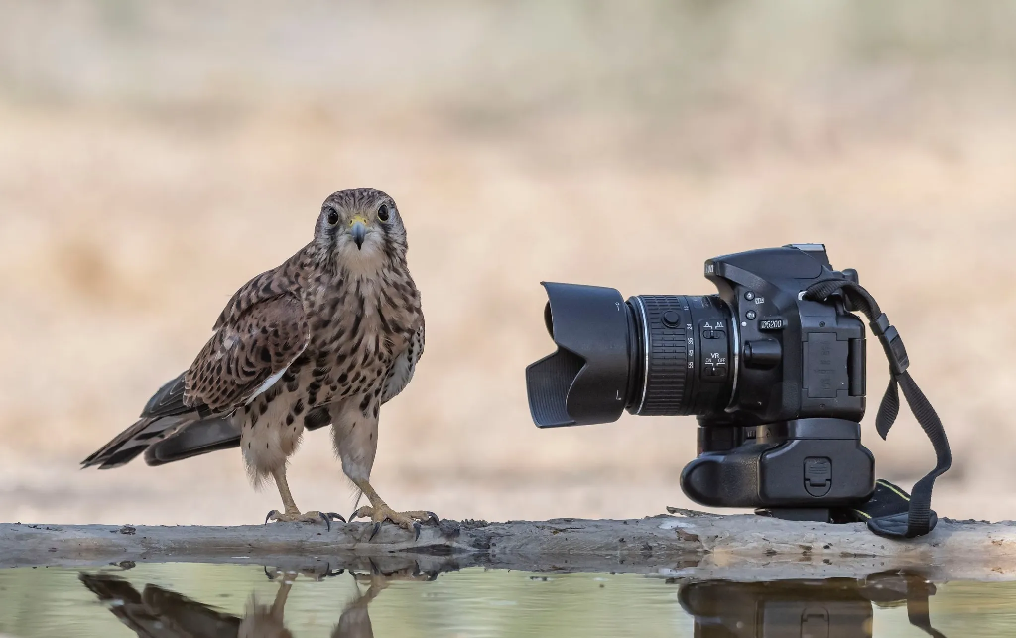 'Alguien olvidó la cámara' fue una de las fotografías ganadoras de la edición pasada. Foto: Blas Buenosvinos