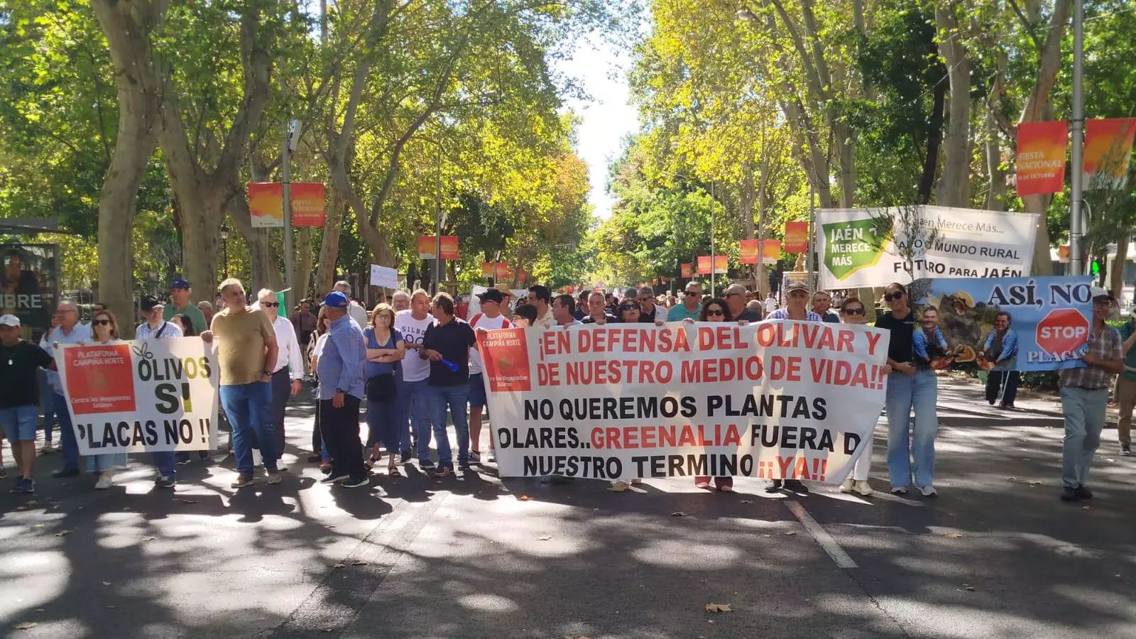 Concentración en Madrid contra las megaplantas solares.