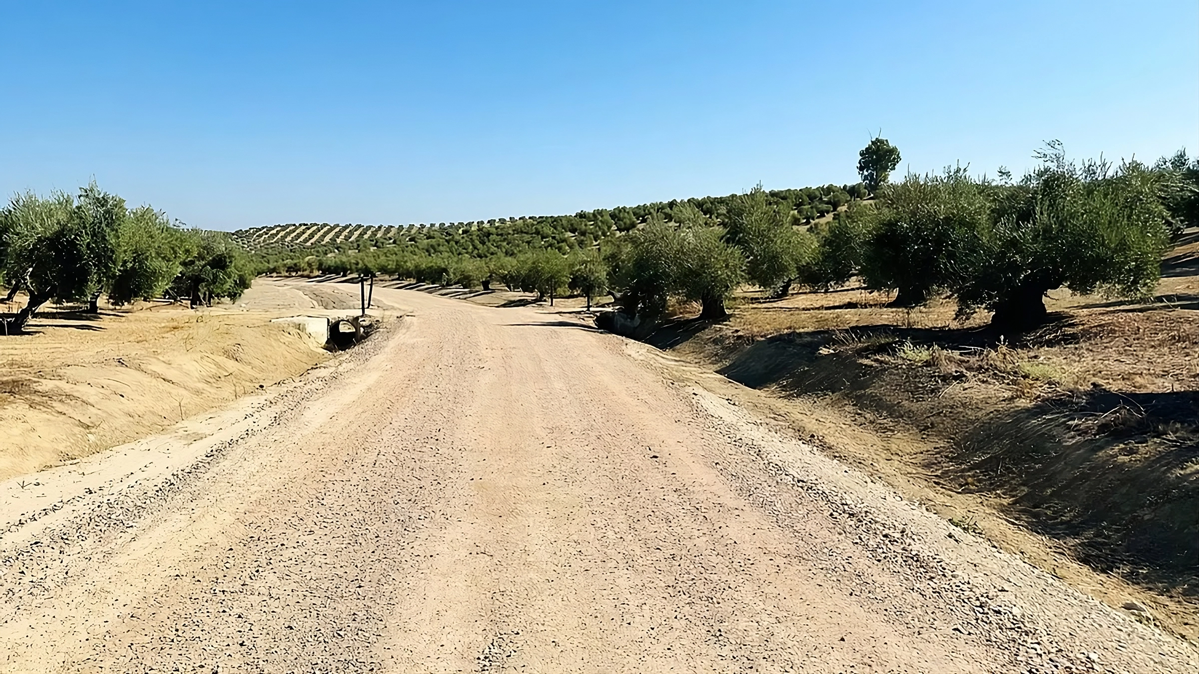 Camino rehabilitado en Cañete de las Torres. Foto: Junta de Andalucía.