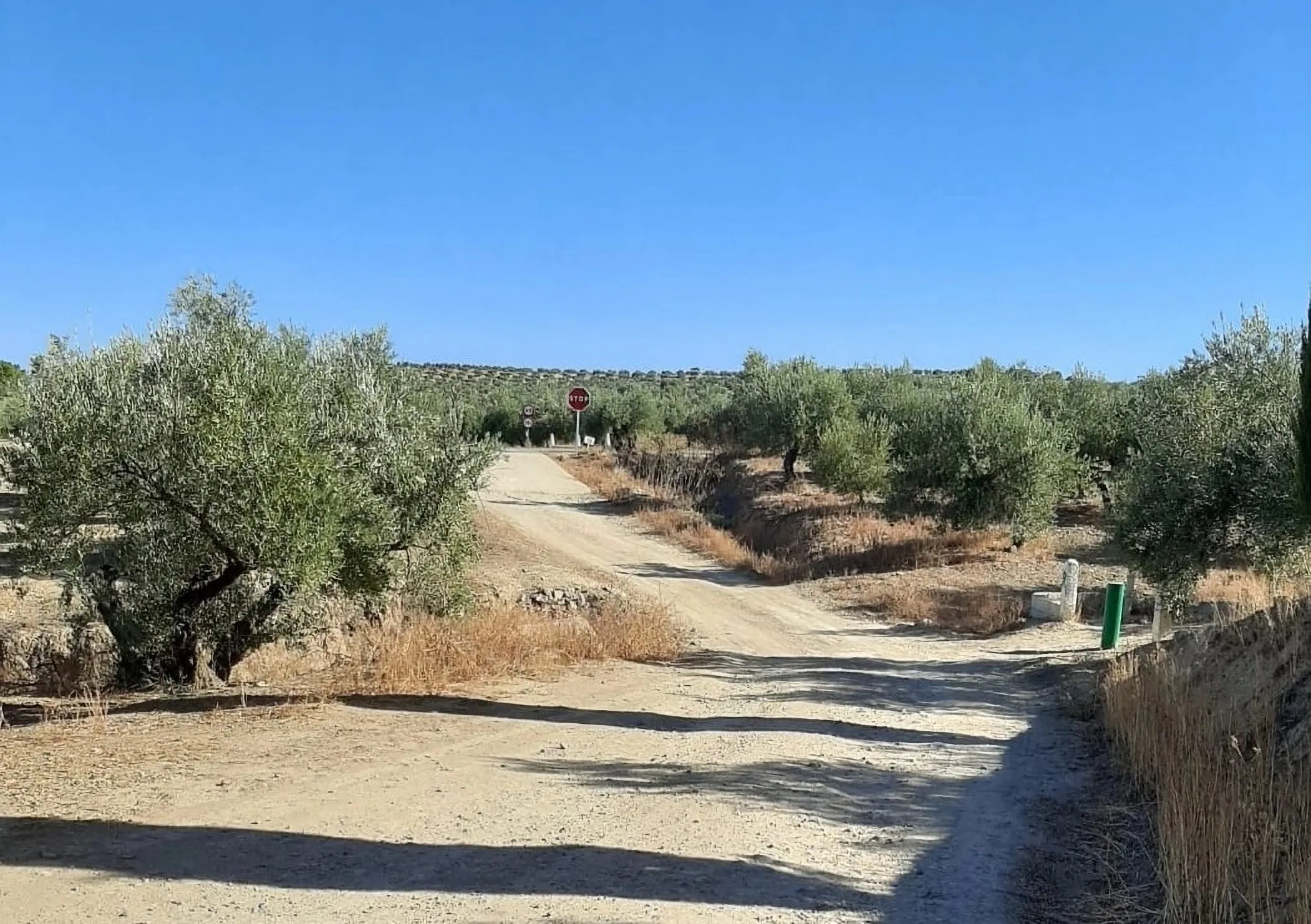 Camino de la Pasá de Arjona. Foto: Ayuntamiento de Lopera. Camino de la Pasá de Arjona. Foto: Ayuntamiento de Lopera.