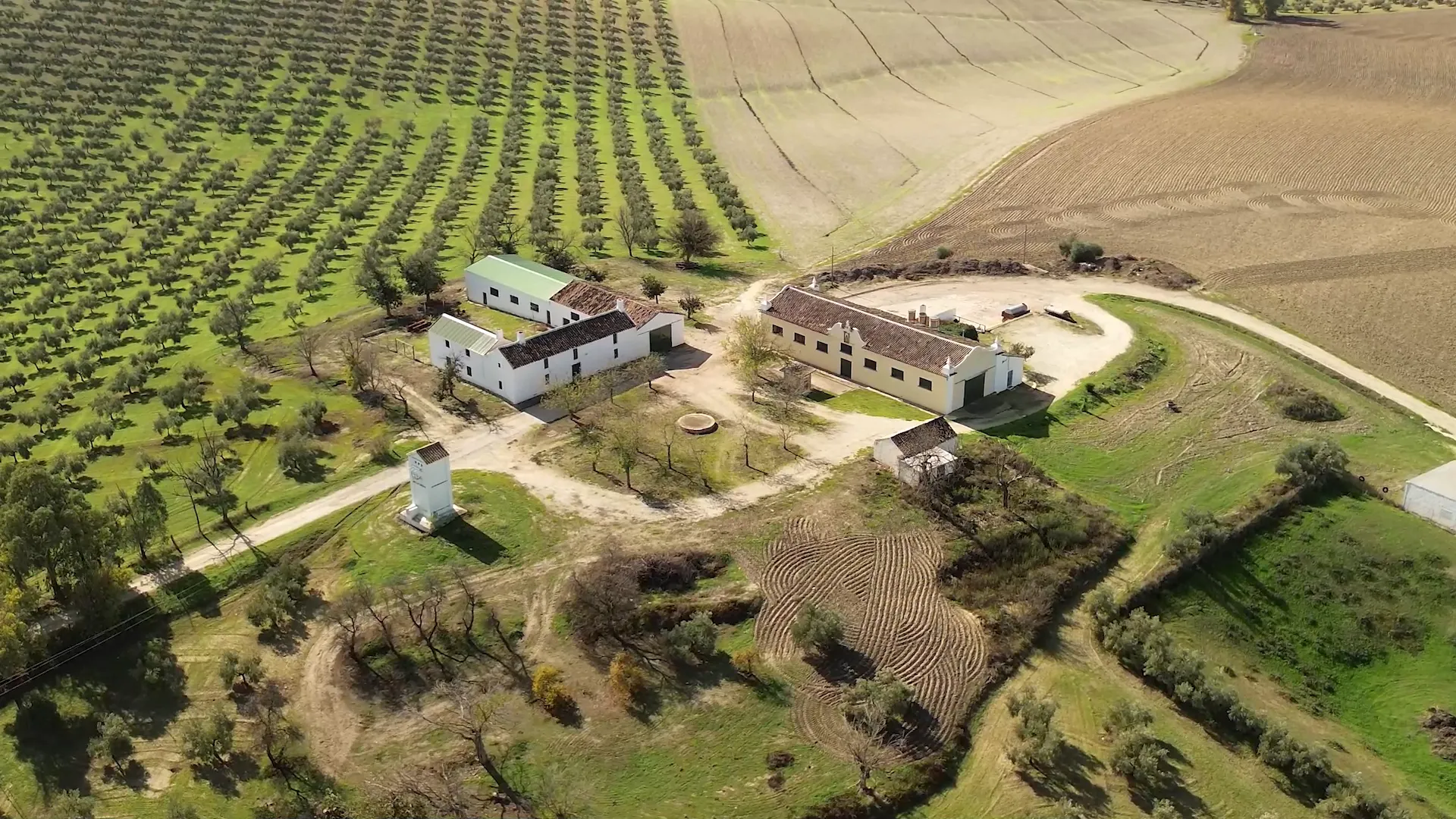 El proyecto invita al espectador a reconocer y valorar ese patrimonio heredado, tangible e intangible, que todavía late bajo las raíces del olivar y los campos de cereal.  El proyecto invita al espectador a reconocer y valorar ese patrimonio heredado, tangible e intangible, que todavía late bajo las raíces del olivar y los campos de cereal.