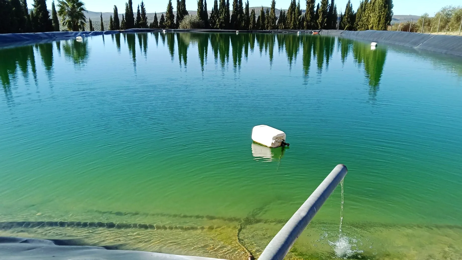 Balsa de Los Carrascales en el término municipal de Lopera. Balsa de Los Carrascales en el término municipal de Lopera.