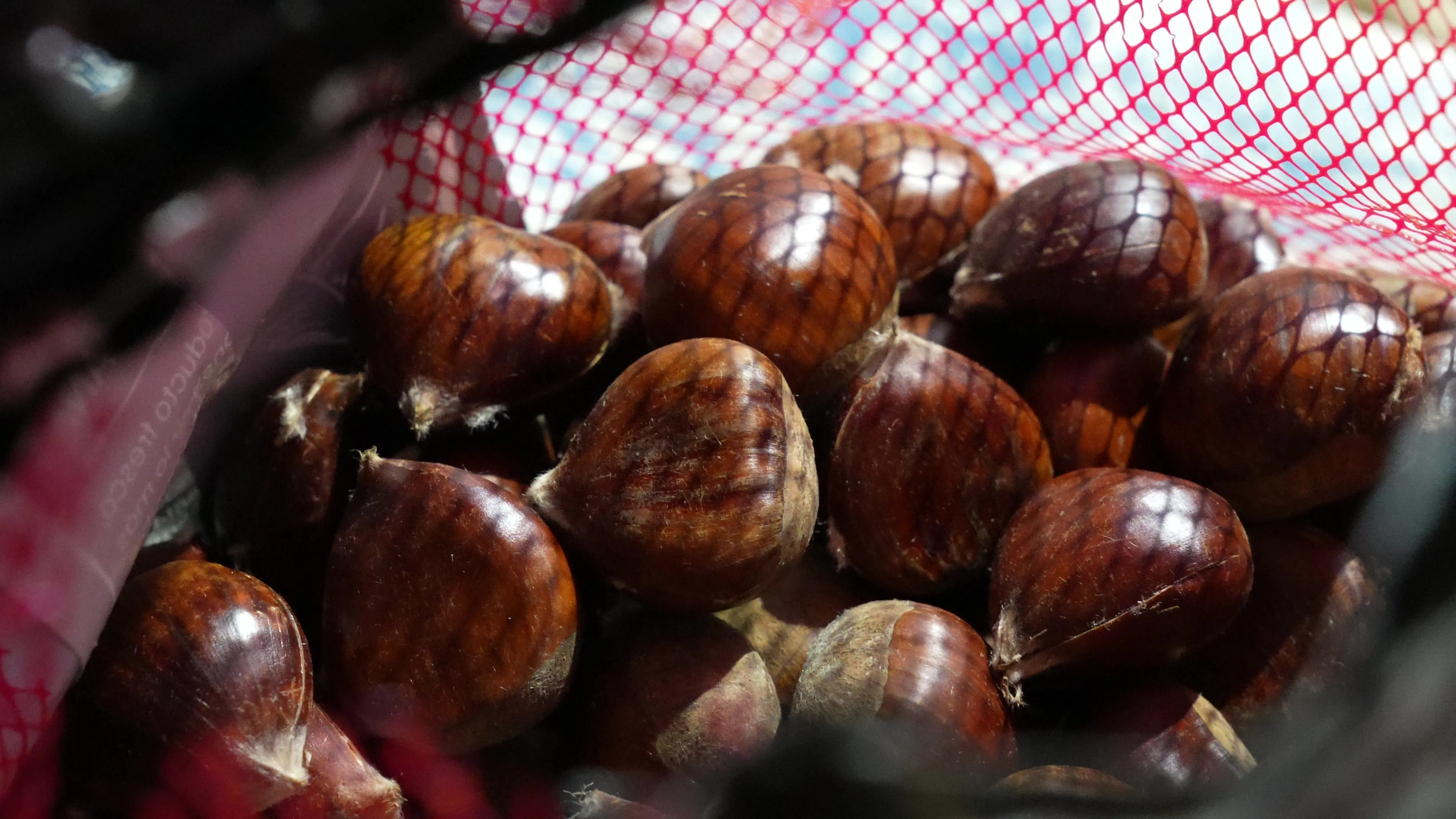 III Concurso de Gachas Loperanas