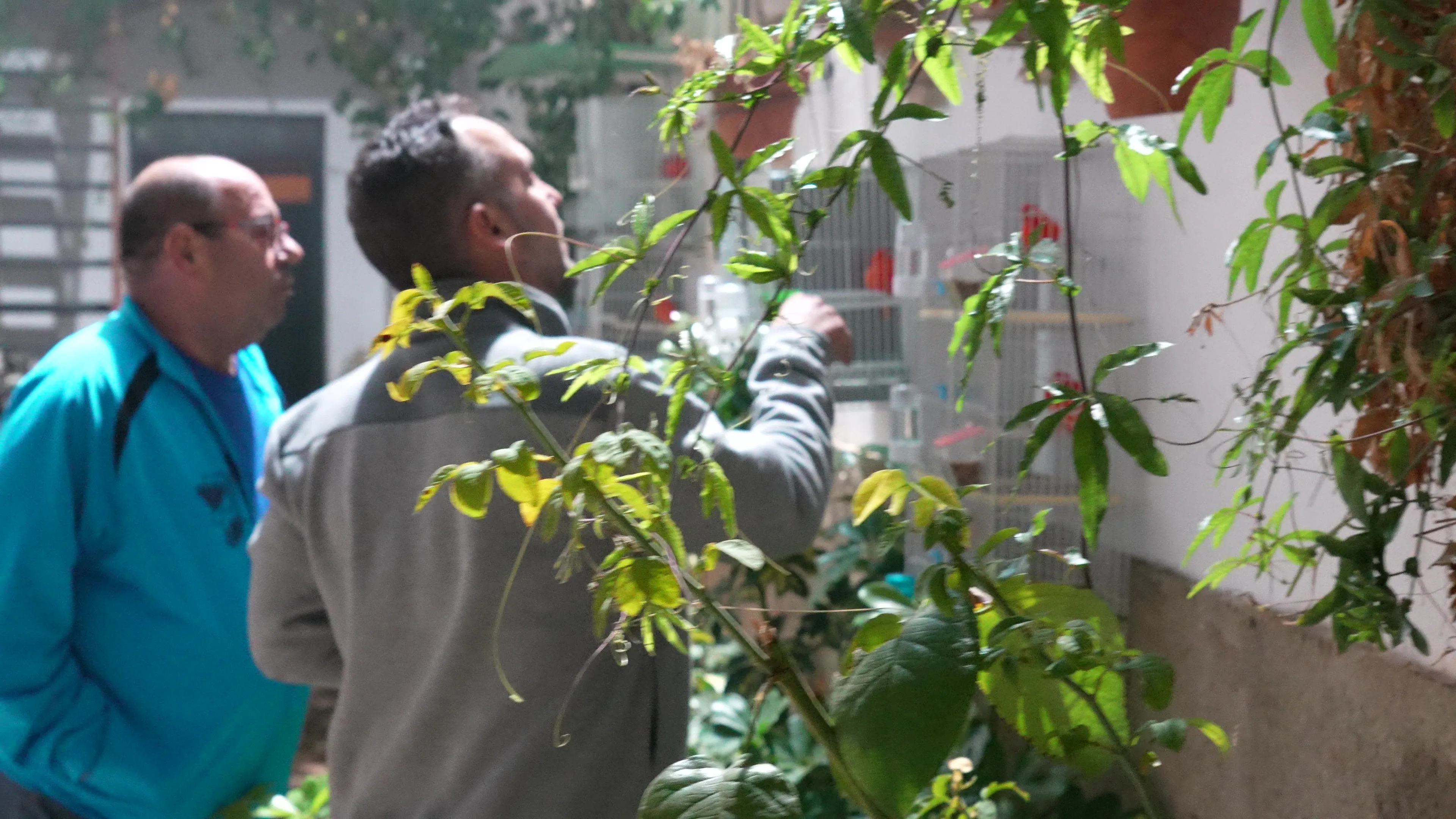 III Concurso de Gachas Loperanas