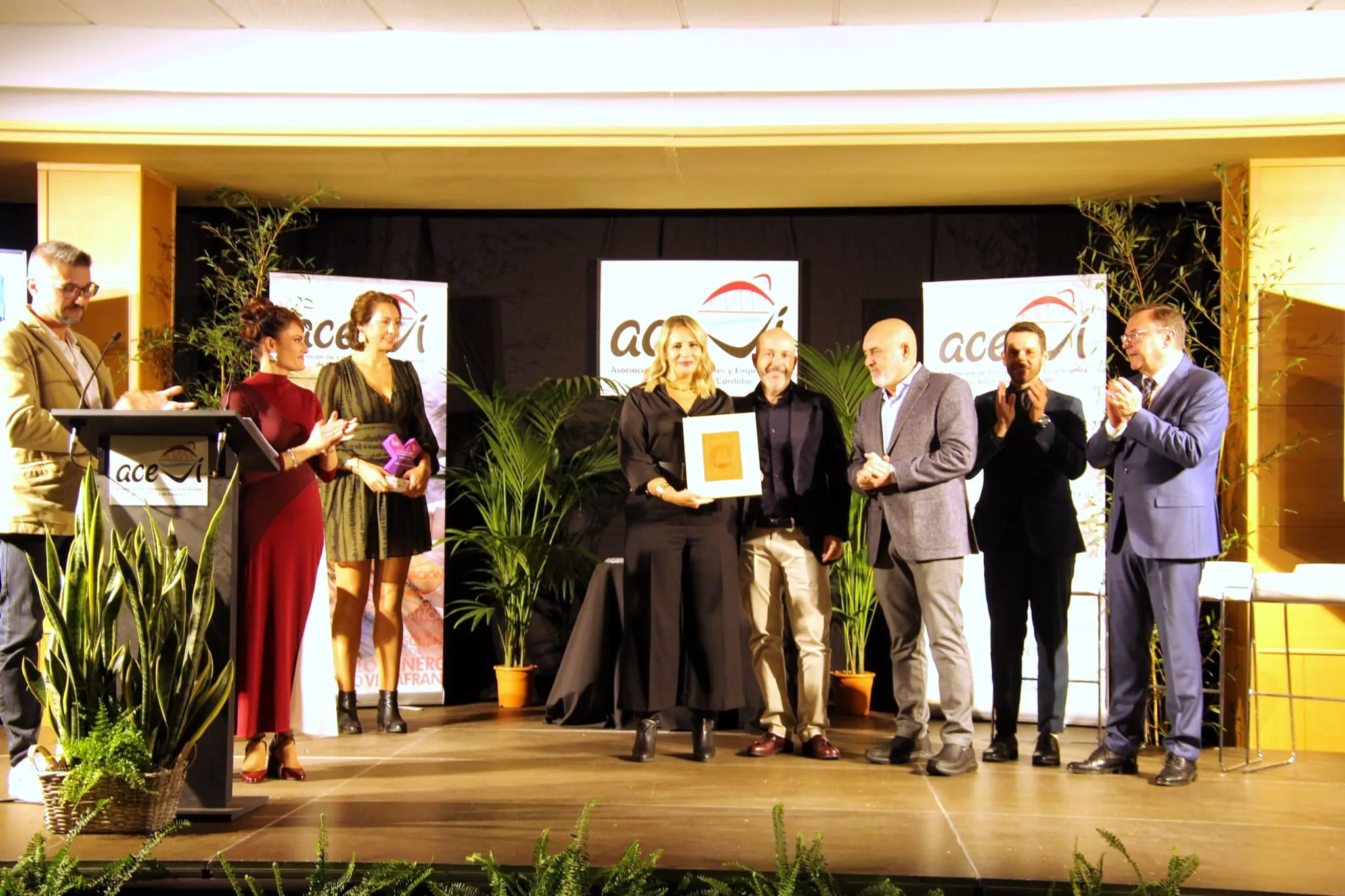 Gala de la VIII edición de los Premios ACEVI, celebrada el pasado sábado en un ambiente de convivencia y reconocimiento al tejido empresarial local. Foto: ACEVI