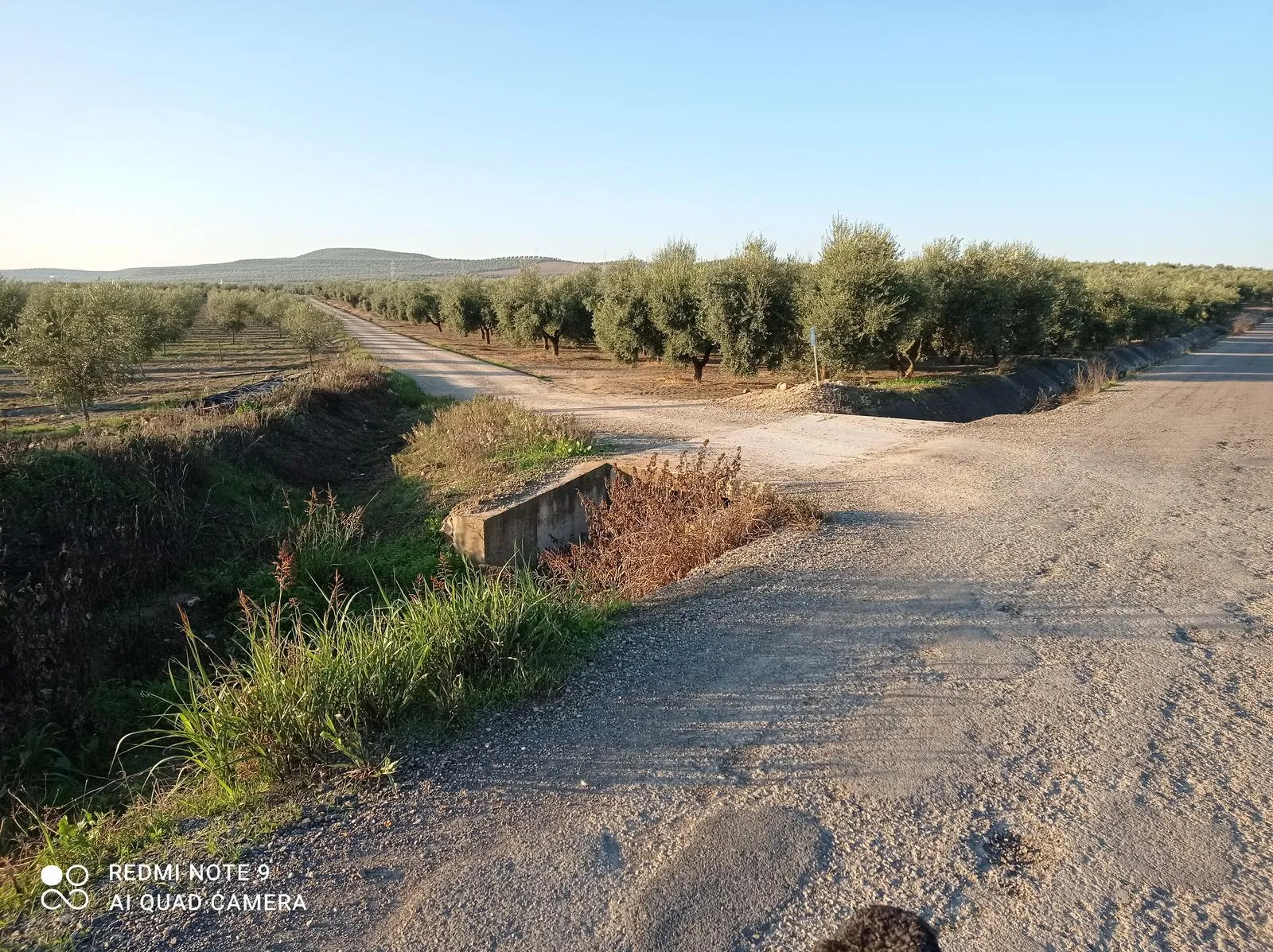 Caminos rurales en Lopera