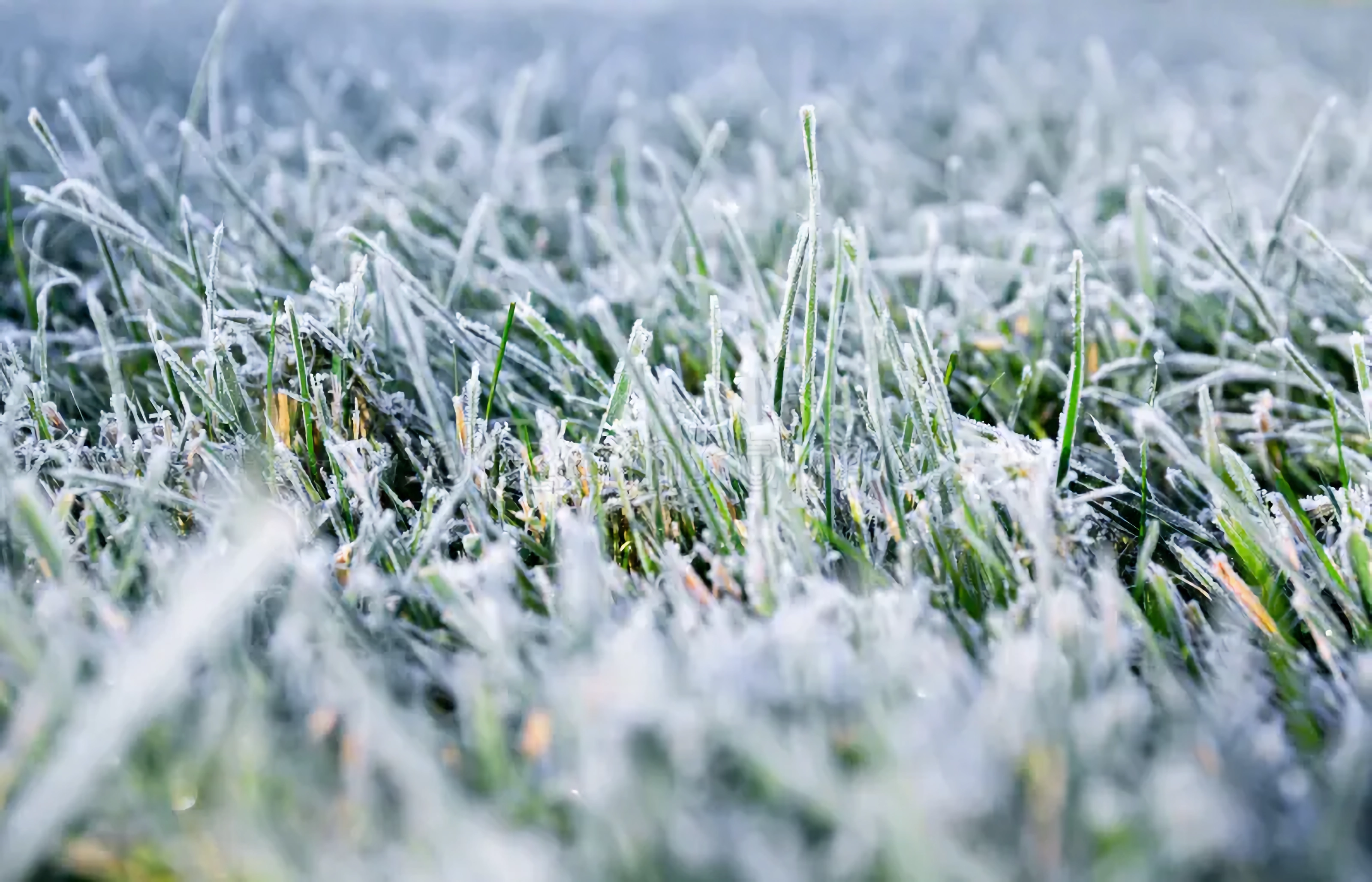 Se esperan heladas este fin de semana.