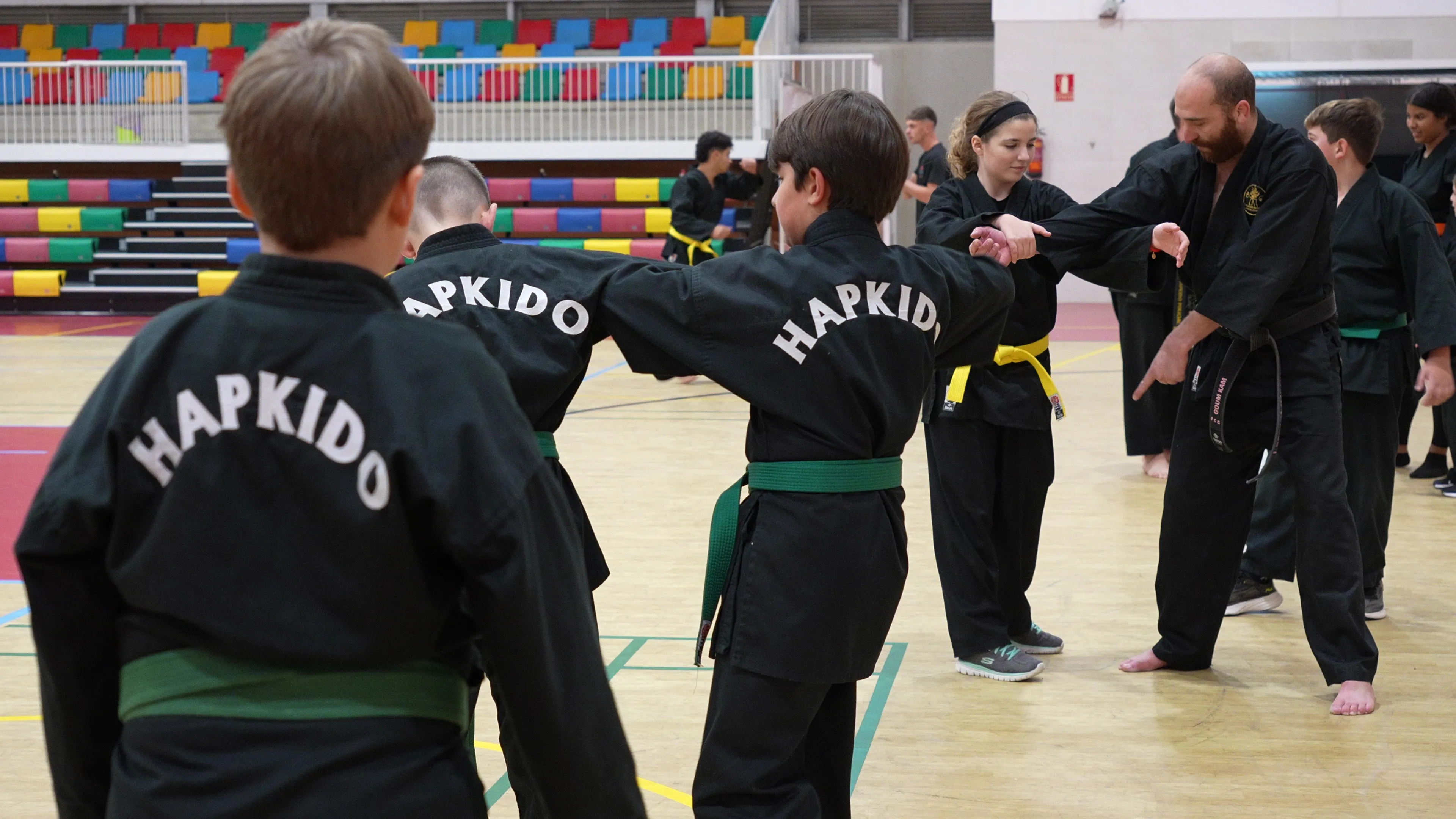 Exhibición de artes marciales de la Escuela de Villa del Río en Lopera