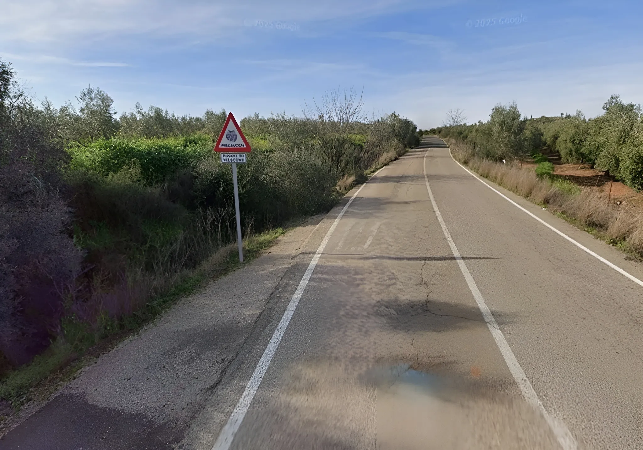 Imagen de la carretera dónde se ha producido el suceso.