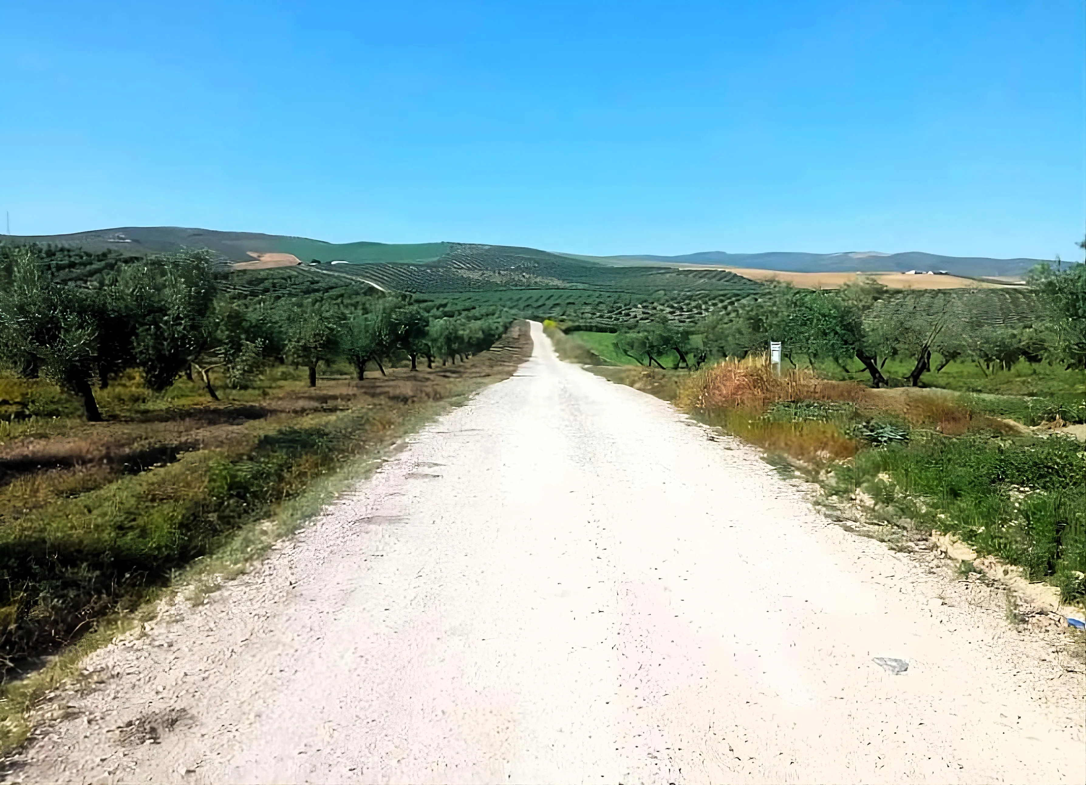 Cañete de las Torres abre la consulta pública del Inventario de Caminos Rurales Cañete de las Torres abre la consulta pública del Inventario de Caminos Rurales