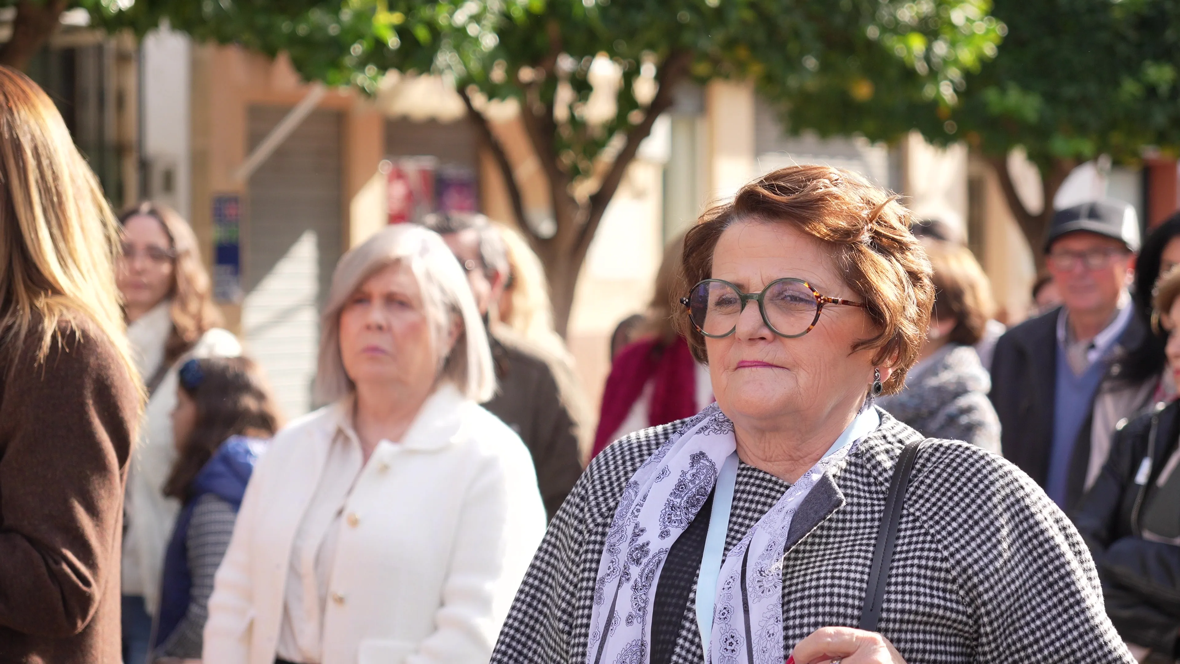 Procesión de la Inmaculada del Voto en El Carpio