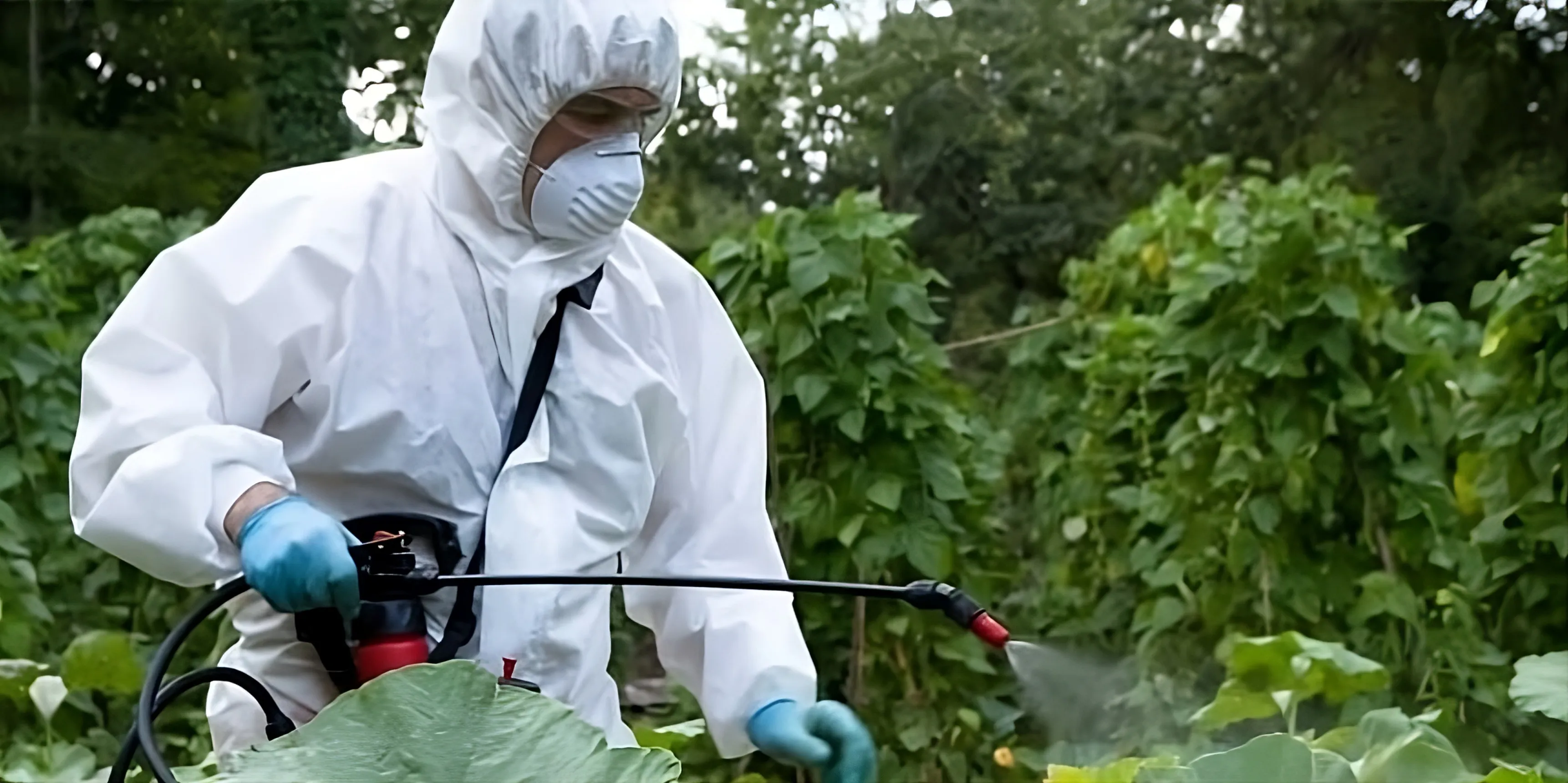 Un operario inicia las labores de fumigación contra el virus del Nilo Un operario inicia las labores de fumigación contra el virus del Nilo